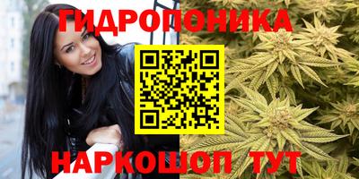 ешки Шебекино