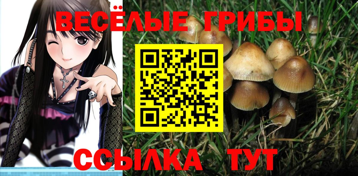 наркота  Псилоцибиновые грибы ЛСД  Вход с VPN  Коммунар 