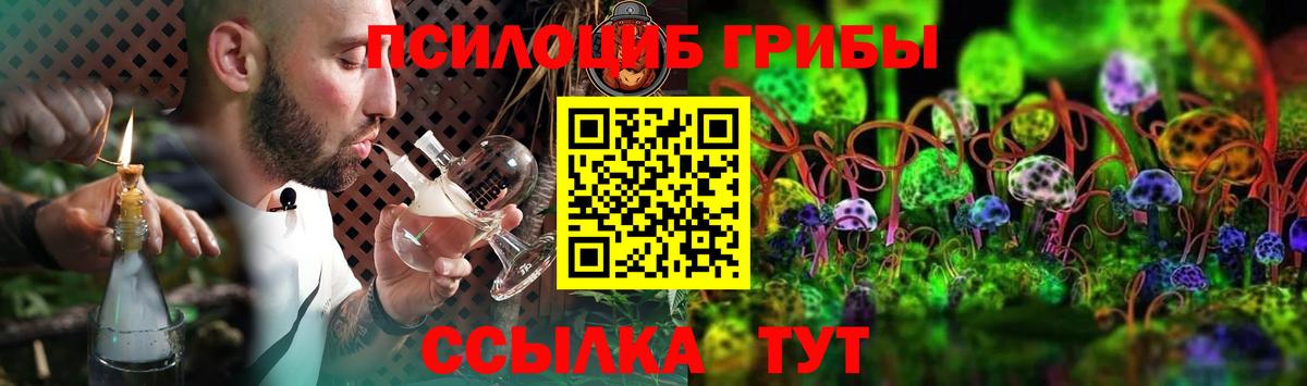 Псилоцибиновые грибы мицелий Коммунар